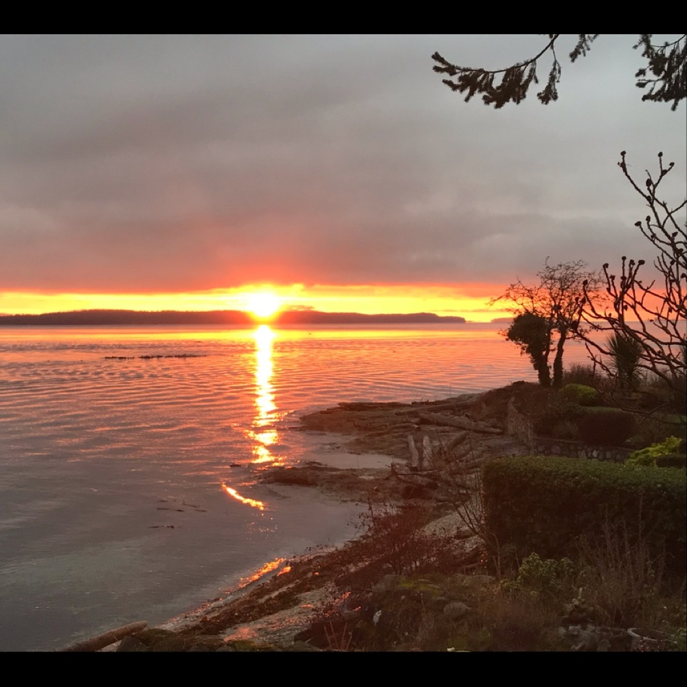 Meet your Posher, Gold dust lady